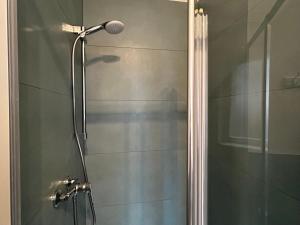 a shower with a glass door and a microphone at Casa Armadillo Guest Rooms in Trento +5 photos