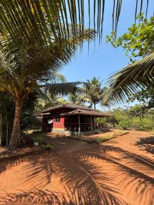 a house with a palm tree next to a dirt road at Mangalmurti Farmstay in Pendur