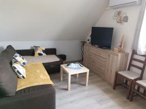 a living room with a couch and a tv at Au fil du Bonheur studio climatisé in Surbourg