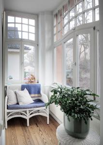 a living room with a chair and a potted plant at Jugendstil Ferienwohnung Neustadt in Neustadt an der Weinstraße