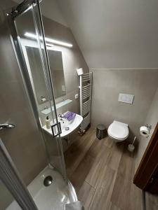 a bathroom with a shower and a sink and a toilet at Penzion U Ježka in Nedakonitz