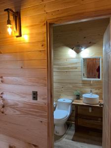 a wooden bathroom with a toilet and a sink at Cabaña Caburgua vista al Volcán, Senderos del Bosque in Pucón +42 photos