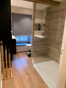 a bathroom with a toilet and a walk in shower at Le Cat'saisons in Wellin +22 photos