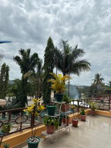 a balcony with palm trees and potted plants on it at Port Park Hotel in Mwanza