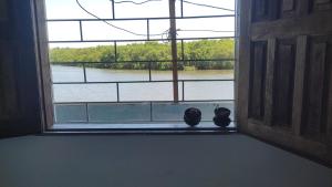 two cats sitting on a window sill looking out at a river at Quarto em Casa Completa no Centro de Ilhéus in Ilhéus