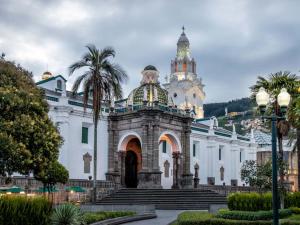 a white building with a palm tree in front of it at Viena Internacional B&B - Rooftop in Quito