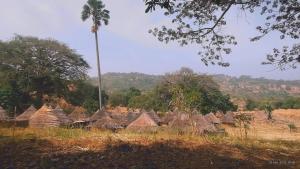a group of houses with a palm tree in the background at Ibel dans le pays Bassaris in Kédougou