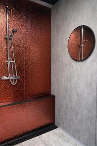 a bathroom with a shower and a mirror on the wall at Grass Roots Retreat in Llanstadwell