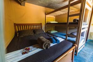 a bedroom with a bunk bed and two bunk beds at Green House Chalé, hostel e pousada in Saquarema