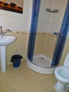 a bathroom with a shower with a sink and a toilet at Бар-Пляж in Bassalychevka