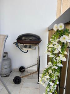 a plant with white flowers is next to a pot at Kapparis Beach Escape, near beach, BBQ, free parking in Paralimni