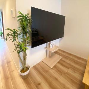 a large flat screen tv on a wall with a potted plant at AJITO Hostel 別館2 in Shingū