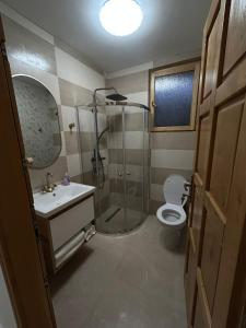 a bathroom with a shower and a toilet and a sink at Mountain Breeze in Borlova