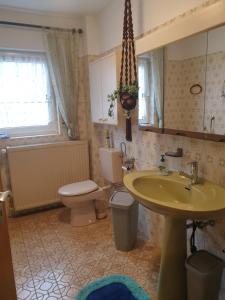 a bathroom with a sink and a toilet and window at Lottes FeWo in Hasselroth