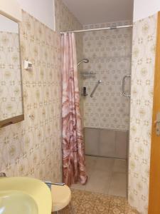 a bathroom with a shower and a sink at Lottes FeWo in Hasselroth