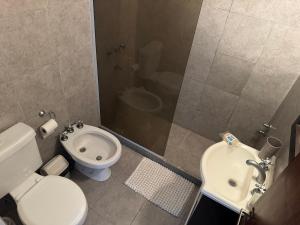a bathroom with a toilet and a shower and a sink at Costanera 61, frente a la laguna in Chascomús