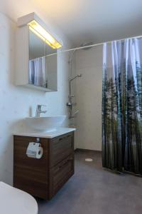 a bathroom with a sink and a mirror and a shower at Lugnt läge i centrala Rättvik in Rättvik +16 photos