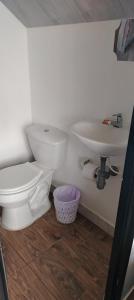 a bathroom with a toilet and a sink at Cabaña jacuzi interno in El Chocho