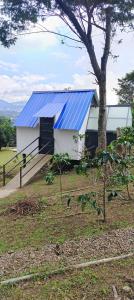 a white building with a blue roof and a tree at Cabaña jacuzi interno in El Chocho +4 photos