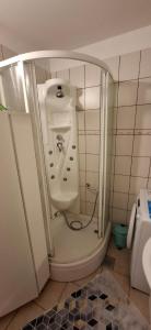 a small bathroom with a shower with a sink at Apartman Lea in Crikvenica +10 photos
