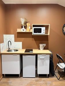 a kitchen with a counter with a microwave and a sink at Le Saphir avec Parking gratuit in Montigny-le-Bretonneux +1 photo