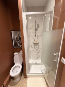 a bathroom with a shower and a toilet at Le Saphir avec Parking gratuit in Montigny-le-Bretonneux
