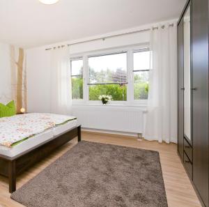 a bedroom with a bed and a window at Ferienhaus Herbert in Groß Kordshagen