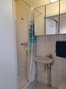 a bathroom with a shower and a sink at Petite maison proche cathédrale hyper centre in Toul