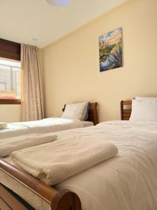 two beds sitting next to each other in a room at Modern Apartment Driouch 1 in Driouch