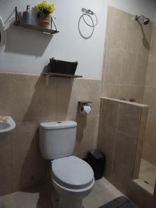 a bathroom with a white toilet and a shower at Hospedaje Viento in Paracas +25 photos