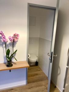 a bathroom with a toilet and a vase with flowers at Chambre paisible in Albi