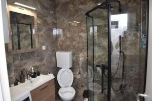 a bathroom with a shower and a toilet and a sink at Kuca za Odmor ISKRA in Mokra Gora +34 photos