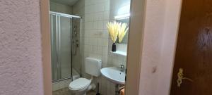 a bathroom with a toilet and a sink and a shower at Pension Hauber - Hotzenwaldblick in Herrischried