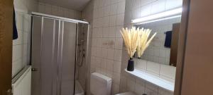 a bathroom with a shower and a toilet and a window at Pension Hauber - Hotzenwaldblick in Herrischried