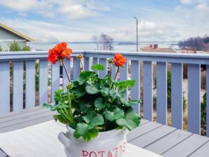a potted plant sitting on a table on a balcony at 4 person holiday home in Nordkoster in Strömstad