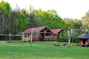 a log cabin in a yard with at Summer cottages in Kashubia in Gostkowo