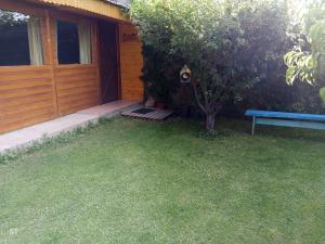a wooden house with a bench next to a tree at Cabaña azul in Los Antiguos +2 photos