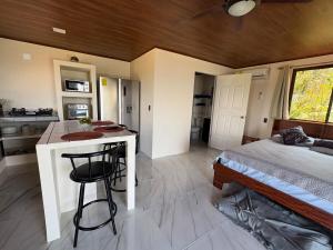 a bedroom with a bed and a kitchen with a bar at Cabin Casove in El Castillo de La Fortuna