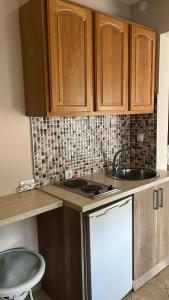 a kitchen with wooden cabinets and a white dishwasher at Bilali Apartments in Ulcinj