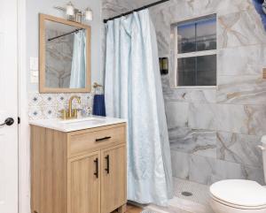 a bathroom with a shower with a sink and a toilet at Pool house , near downtown SA in San Antonio