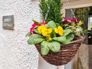 a basket of flowers hanging from a wall at Osprey Cottage in Bassenthwaite