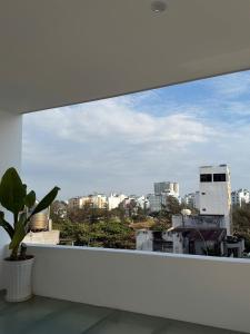 a view of a city from a balcony with a plant at Phao Hotel in Vung Tau +10 photos