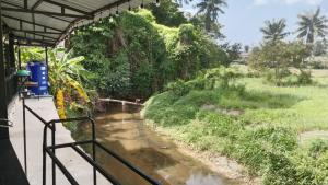 a view of a river from a boat at Dee-maak Hostel in Thong Sala
