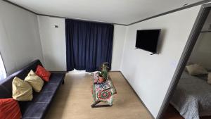 a living room with a couch and a television at San Joaquin in Curacautín