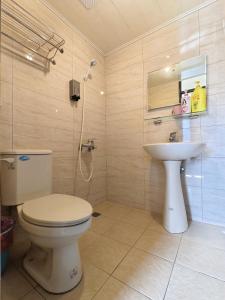 a bathroom with a toilet and a sink at 奮起湖車站 揚揚老街民宿 in Fenqihu +43 photos