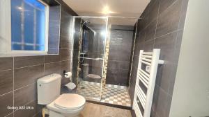 ein Badezimmer mit Toilette und Dusche in der Unterkunft GITE kass immo in Culmont + 24 Fotos