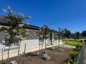 a garden with trees in front of a building at Beachwood Port Willunga in Port Willunga