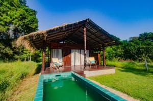 a small house with a swimming pool and a roof at Raintree Haven in Dambulla