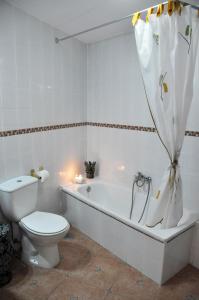 グエハル・シエラにあるRuralguejarのバスルーム(トイレ、バスタブ付)