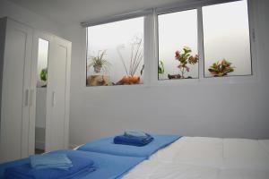 a bedroom with a bed with blue sheets and a window at Apartamento Casa Leo in Playa Blanca